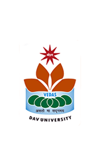 DAV University