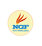 NGF College Of Engineering And Technology ( NGFCET)  Palwal