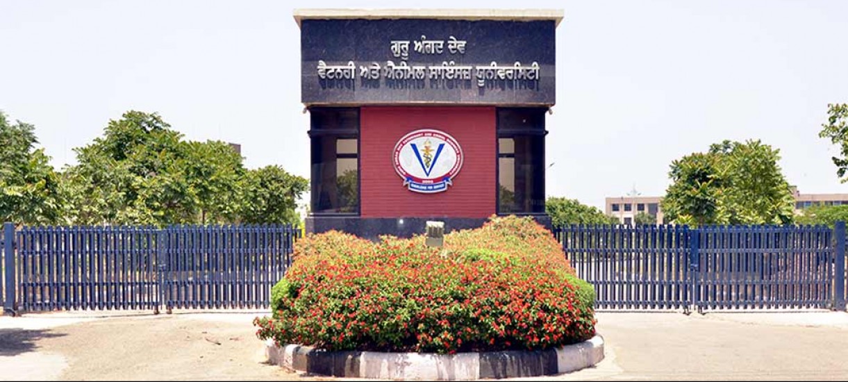 GURU Angad Dev Veterinary and Animal science University